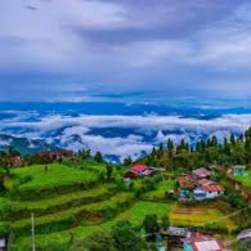 njp to darjeeling 01