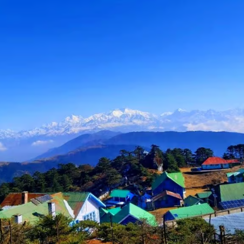 njp to darjeeling