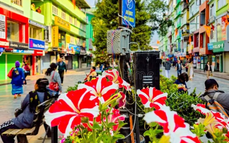 Sikkim & Darjeeling Discovery – 4 Nights 5 Days